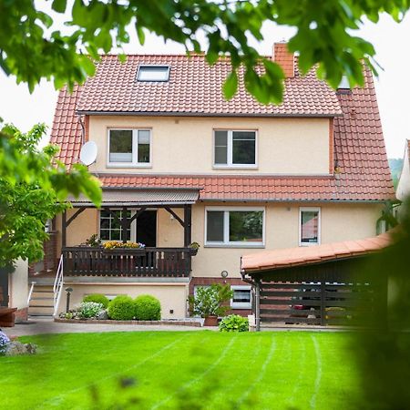 Ferienhaus Og1 "Westerwald Blick" Martinfeld Eksteriør billede