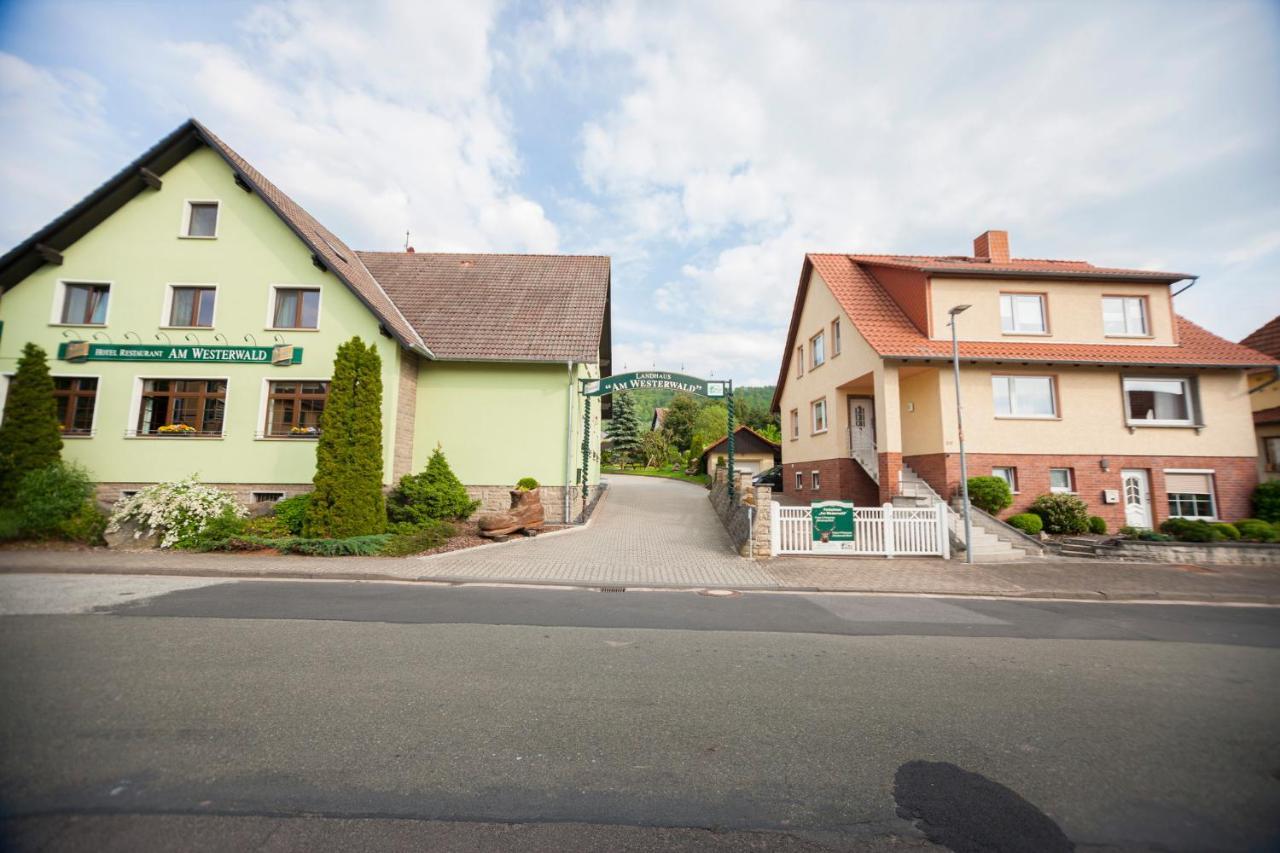 Ferienhaus Og1 "Westerwald Blick" Martinfeld Eksteriør billede
