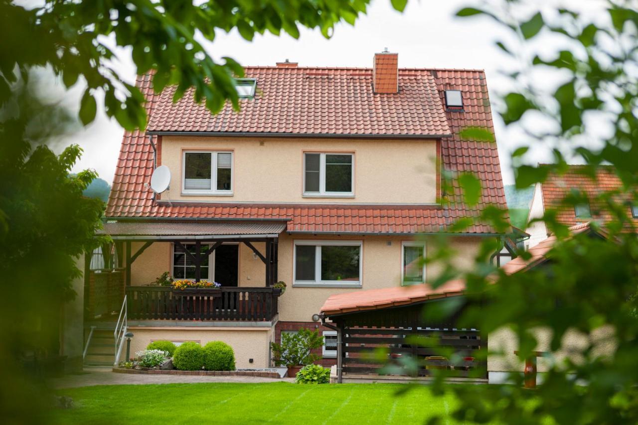 Ferienhaus Og1 "Westerwald Blick" Martinfeld Eksteriør billede